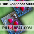 Anaconda 5000 Pill 14